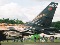 Alpha-Jet, 15250, Portugiesische Luftwaffe, Vliegbasis Twenthe (NL), 20.
   Juni 2003