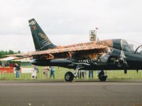 Alpha-Jet, 15250, Portugiesische Luftwaffe, Vliegbasis Twenthe (NL), 20.
   Juni 2003