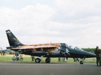 Alpha-Jet, 15250, Portugiesische Luftwaffe, Vliegbasis Twenthe (NL), 20.
   Juni 2003