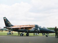 Alpha-Jet, 15250, Portugiesische Luftwaffe, Vliegbasis Twenthe (NL), 20.
   Juni 2003