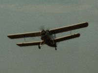 An-2, Classic Wings, Flugplatz Bielefeld, 18. August 2002