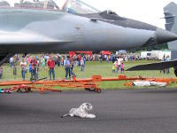 MiG-29UB, 5304, 21.06.2014