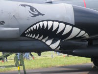 F-4E, Gilze-Rijen, 21.06.2014